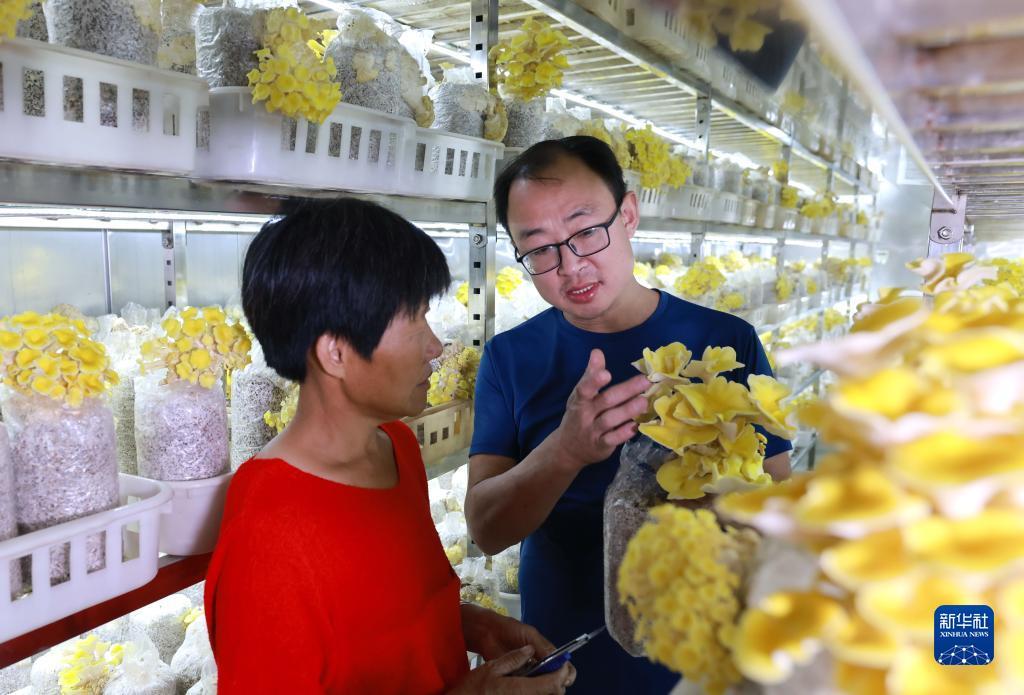 12博官方网站